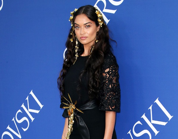 Shanina Shaik from CFDA Awards 2018: Red Carpet Fashion | E! News